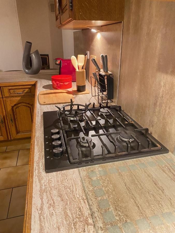 Appartement « Chez Falco » Vue Sur Le Chateau 쉬르멕 외부 사진